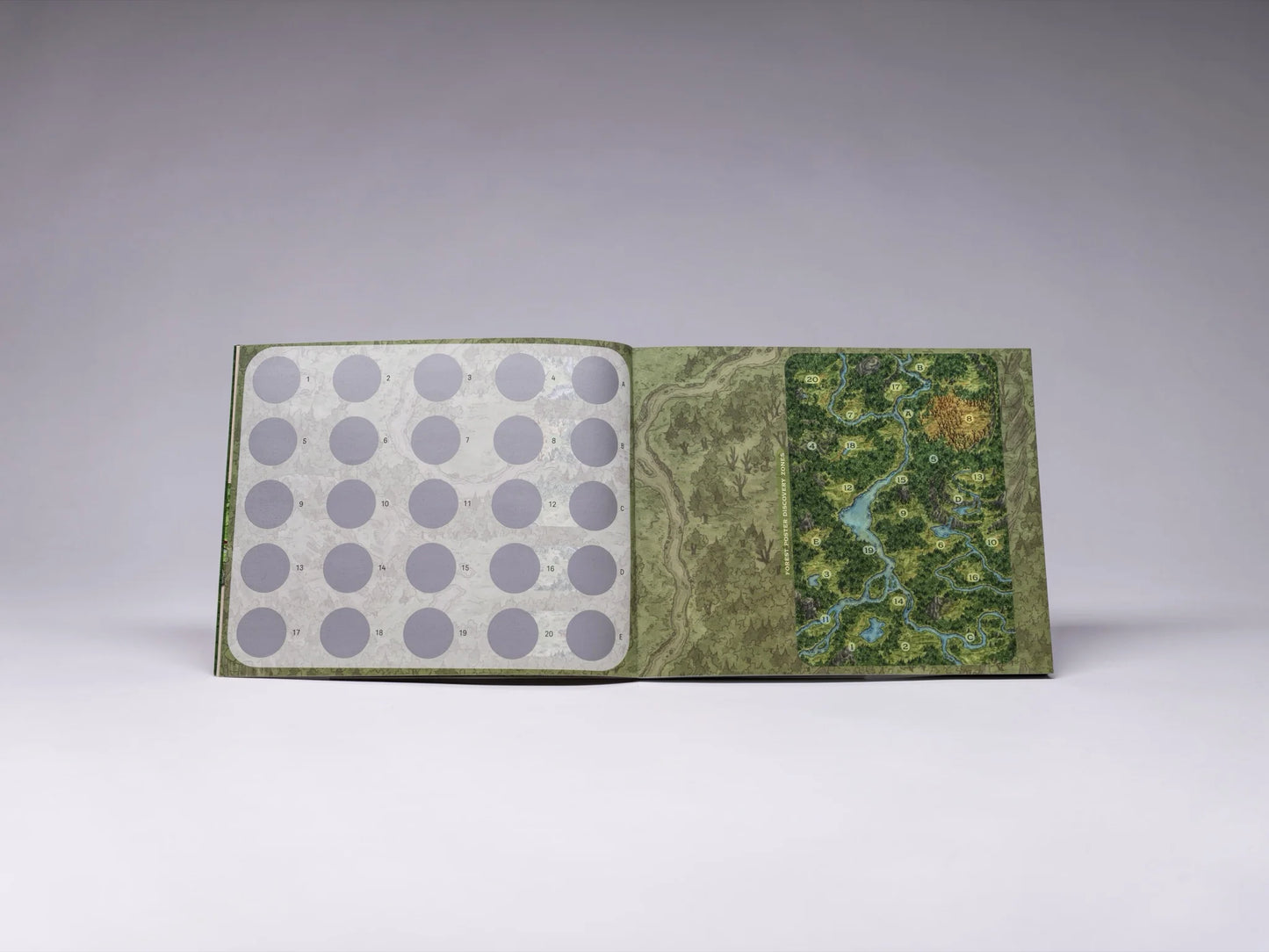 Into the Wild: Forest Encounter Book