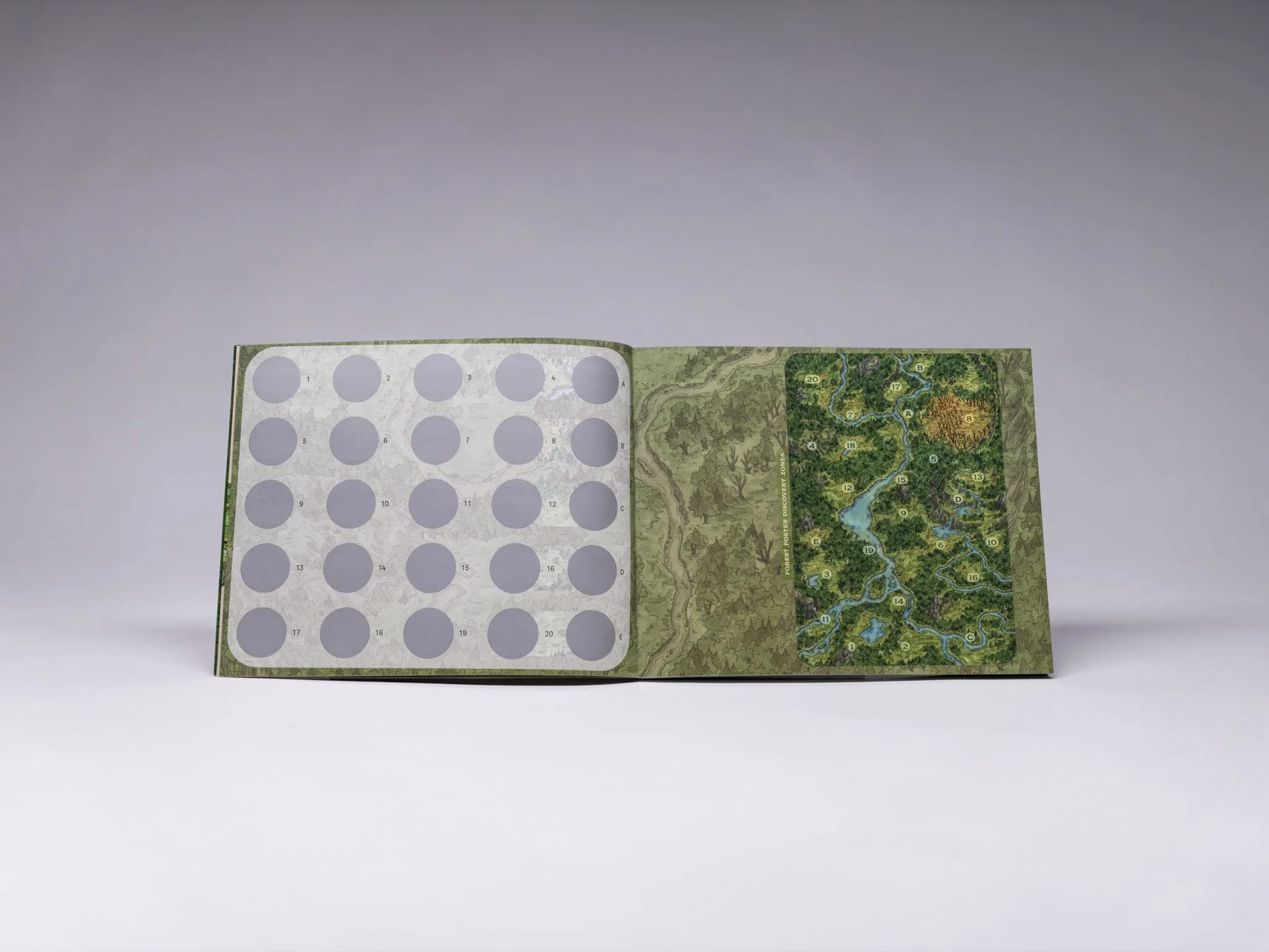 Into the Wild: Forest Encounter Book